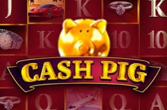 Cash Pig